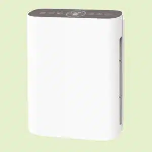 Maestro Air Purifier